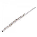Professional Flute - Solid Silver